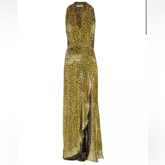 Adriana Iglesias Paris Velvet Leopard-Print Maxi Dress - Picture 5 of 12